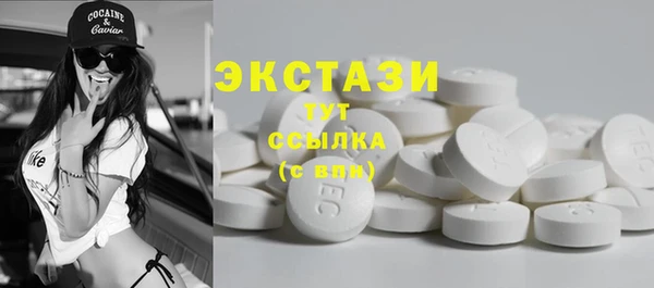 индика Абаза