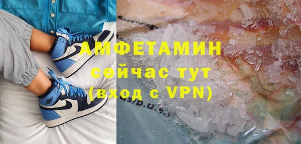 индика Абаза