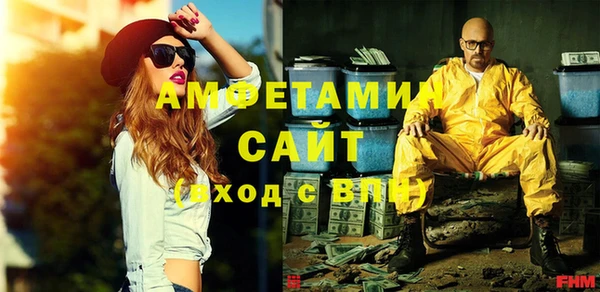 индика Абаза