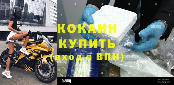 индика Абаза